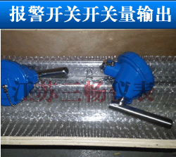 磁翻板液位計(jì)報(bào)警開關(guān)